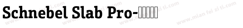Schnebel Slab Pro字体转换